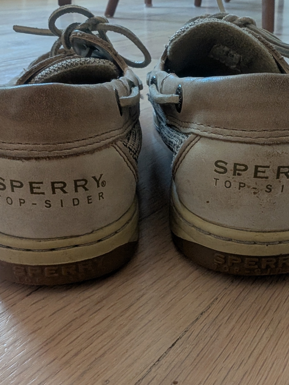 Sperry Topsider - Picture 5 of 6